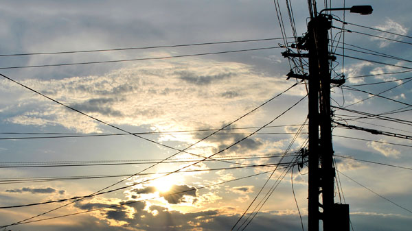 Networks