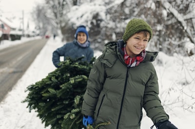 Boys carrying Christmas tree
