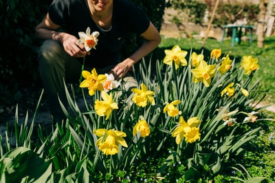 Daffodil woman by Nadia Clabassi on unsplash