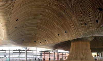 Senedd Welsh Assembly