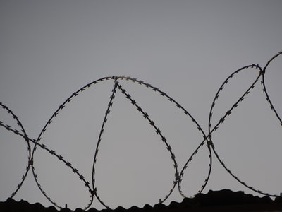 Barbed-wire-black-and-white-black-and-white-690800