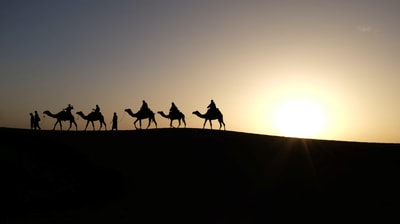 Inbal malca Nhl Kx6 Uvm3 E unsplash 2