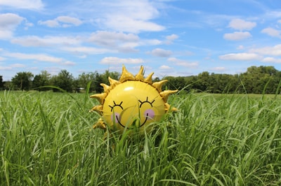 Sunshine balloon in field