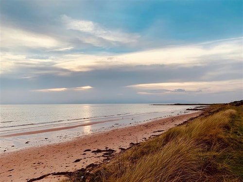 Ayr beach