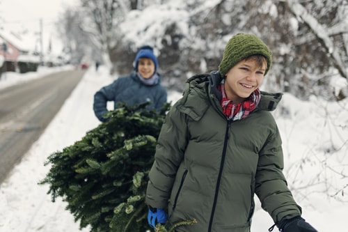 Boys carrying Christmas tree