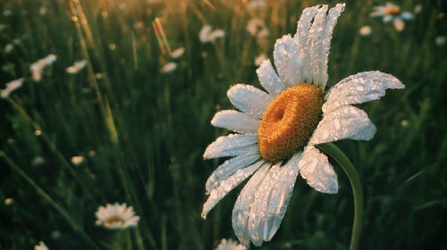 Aaron burden n J2 YC Cn Vp6k unsplash