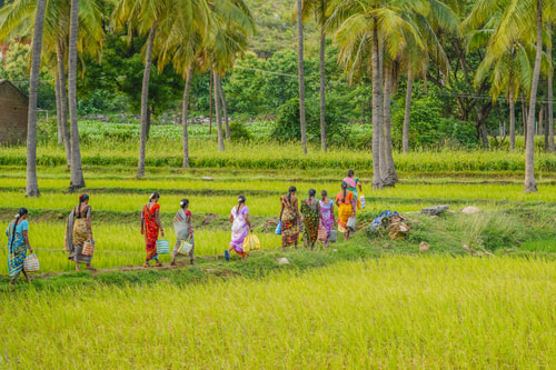 Women walking in Indian village