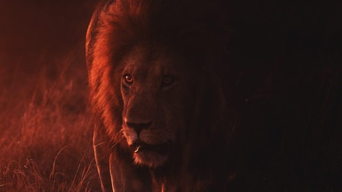 Keyur nandaniya B0 Vd Y1yd F Q unsplash