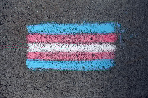 Transgender flat painted on the floor