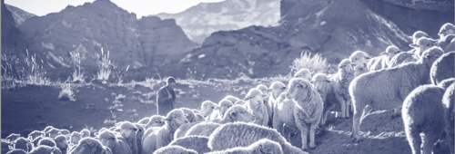 Screenshot 2023 11 27 at 12 51 28