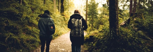 Forest Friends Friendship 591216