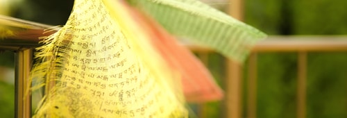 Nickey Kolev 482468 Unsplash