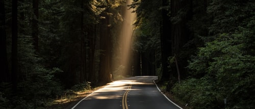 John Towner 117317 Unsplash