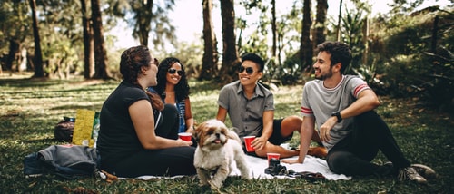 Chatting Cups Dog 745045