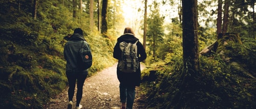 Forest Friends Friendship 591216