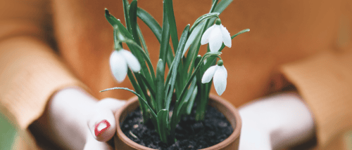 Screenshot 2023 03 31 at 15 09 27