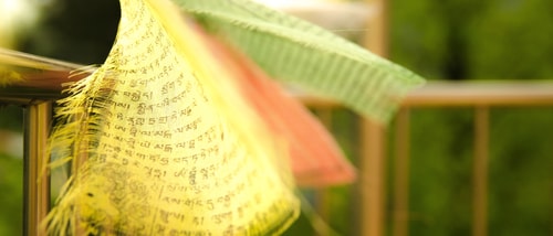 Nickey Kolev 482468 Unsplash