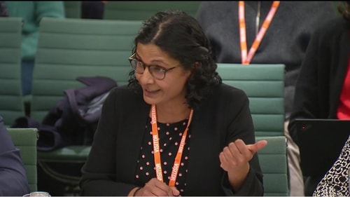 Dr Jamilla Hussain Oral Evidence to Terminally Ill Adults End of Life Bill