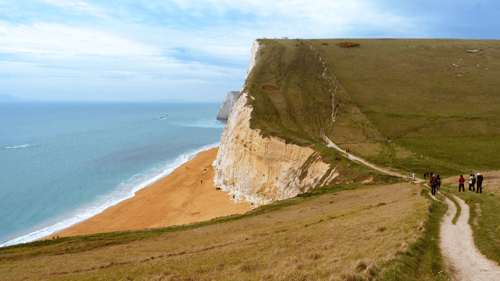 Coast mental health landscape