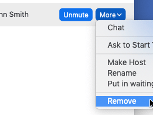 Zoom mute remove